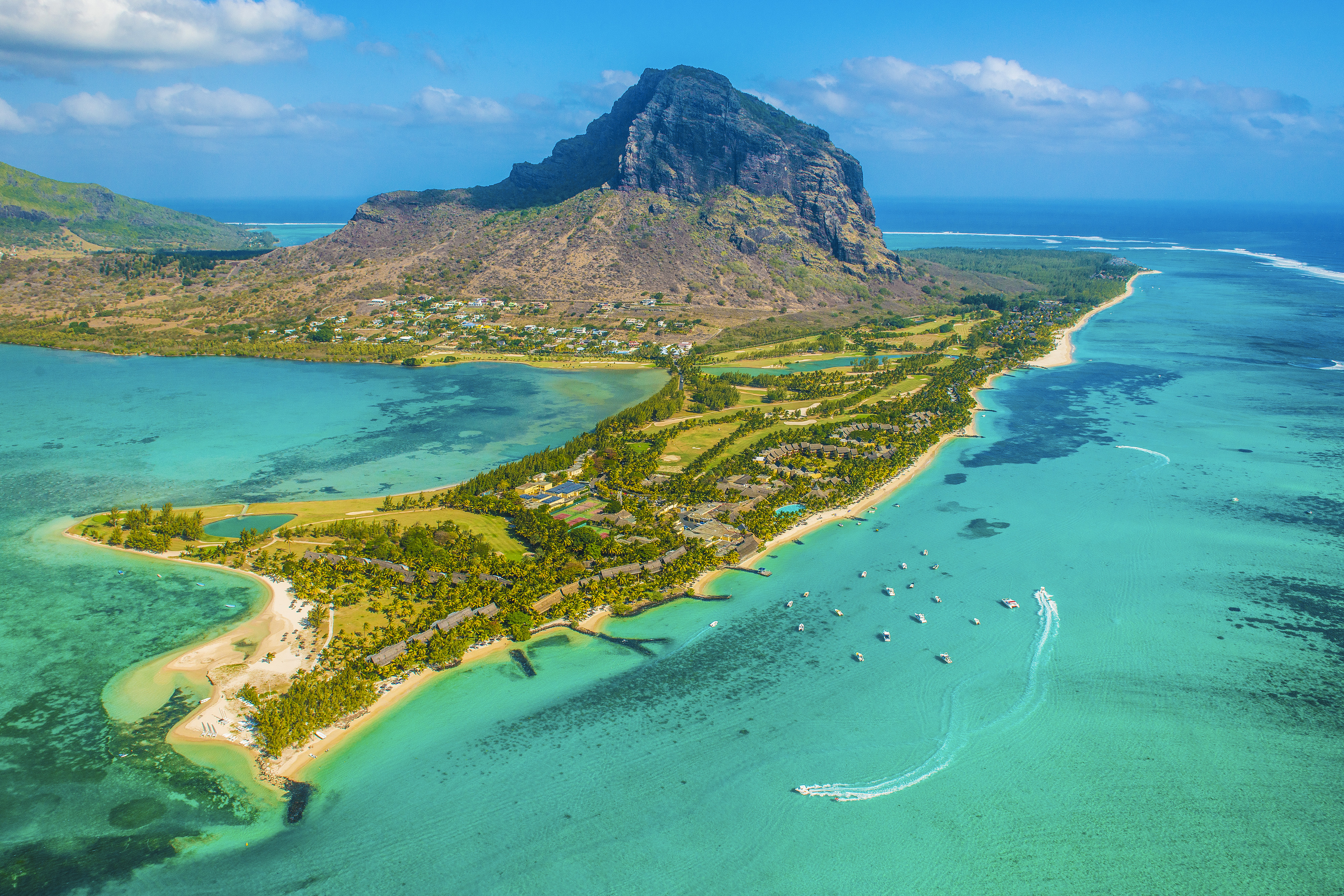 What Flowers Grow In Mauritius