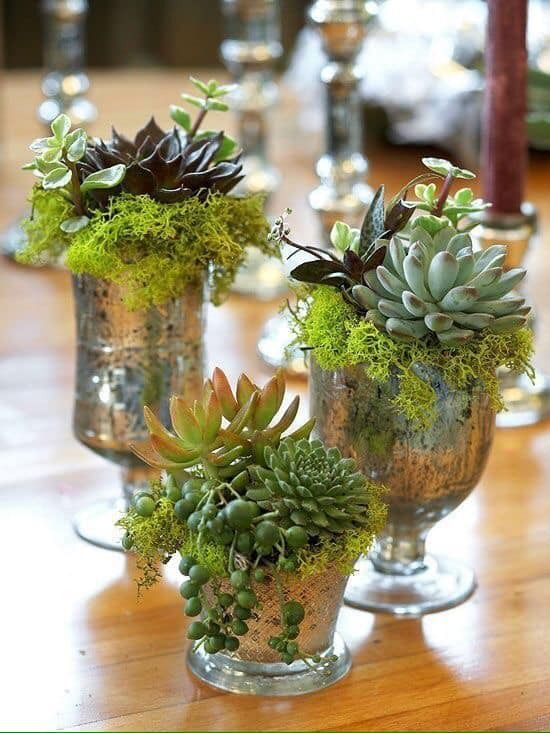 Beautiful Succulent Wedding Centerpieces | Arabia Weddings