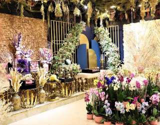 The Top Flower Shops in Ajman