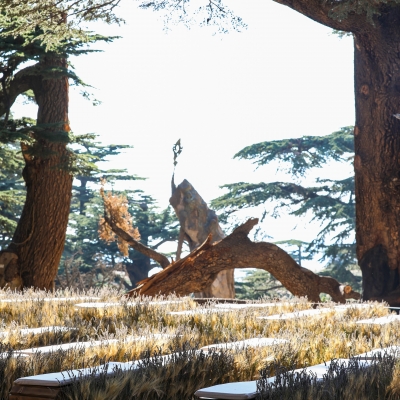 A Lebanese Fairytale in the Cedars
