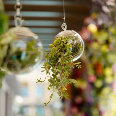 A Landmark Celebration: The First Indian Destination Wedding at Saadiyat Rotana