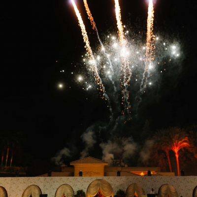 A Botanical Garden Wedding in Egypt A Botanical Garden Wedding in Egypt