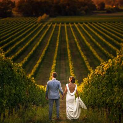 A vineyard wedding