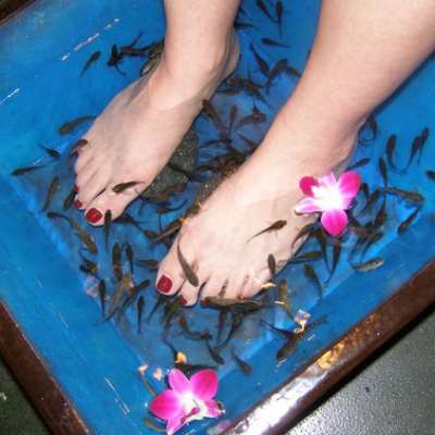 Dare to Try: Fish Pedicures!