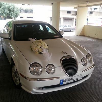 بوبس ويدينق كارز