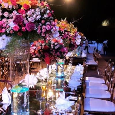 Aniq Events X GardenVille