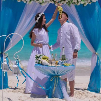 أوكسانا سلتكيا ويندينق بلانر آند فوتوغرافير