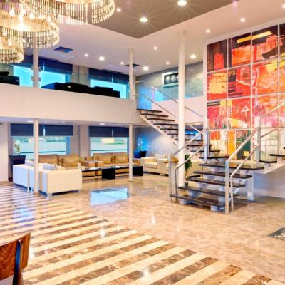 ام اس نايل بريميم