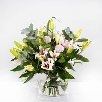 فلورا ديلايت