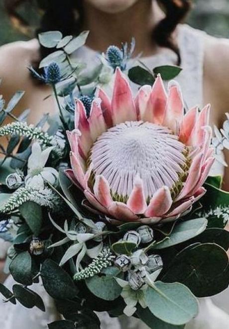 A Dramatic Wedding Flower: The Protea