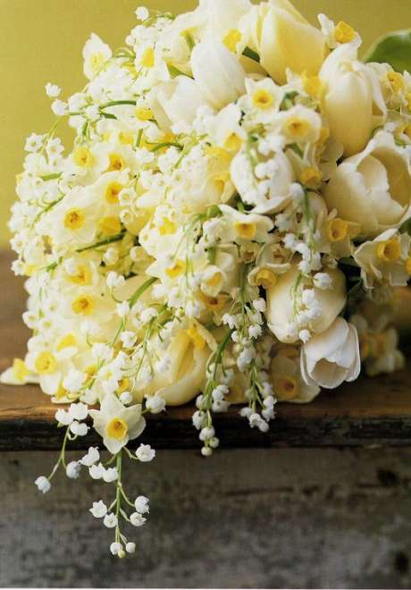 Your Spring Wedding Flower: The Narcissi