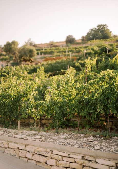 A Lebanese Destination Wedding in Cyprus