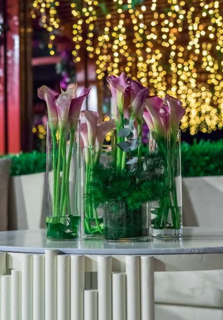حفل زفاف خيالي من وحي جنة عدن في قطر 