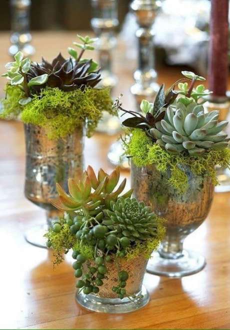 Beautiful Succulent Wedding Centerpieces