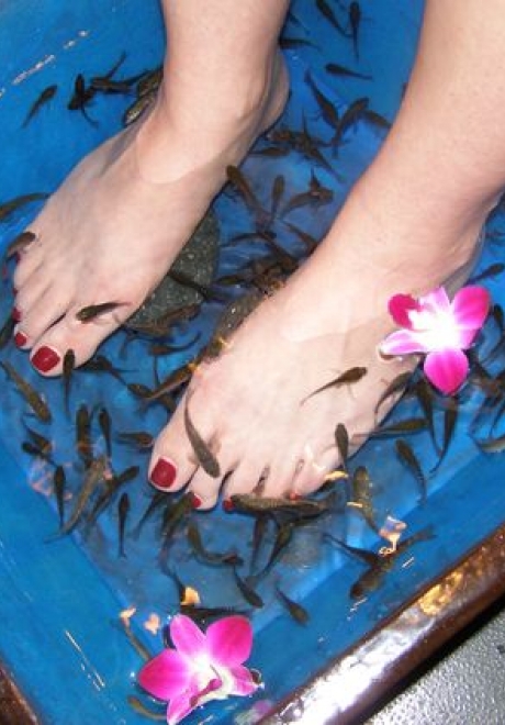 Dare to Try: Fish Pedicures!