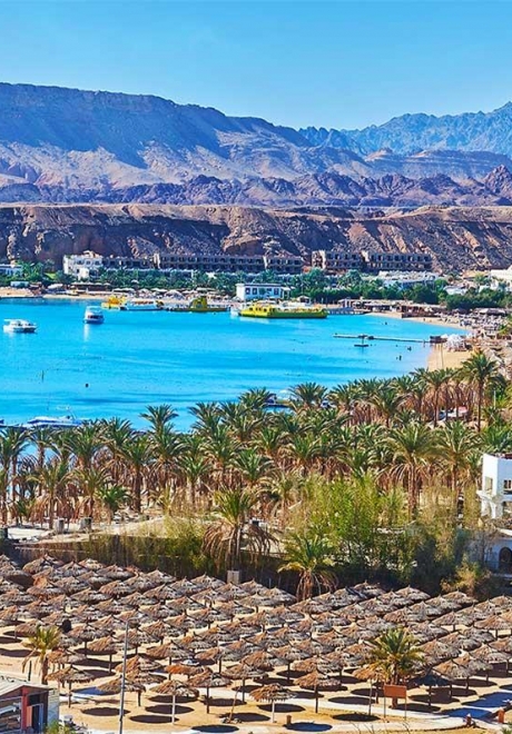Your Sharm El Sheikh Honeymoon Guide