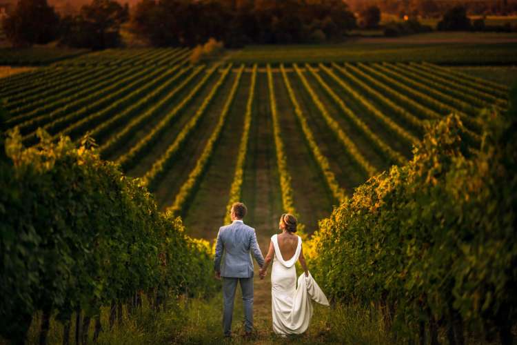 A vineyard wedding