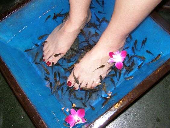 pedicure with fish near me