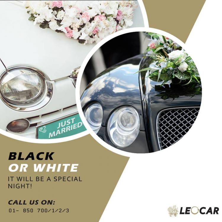 Leo Car Lebanon wedding car rental lebanon