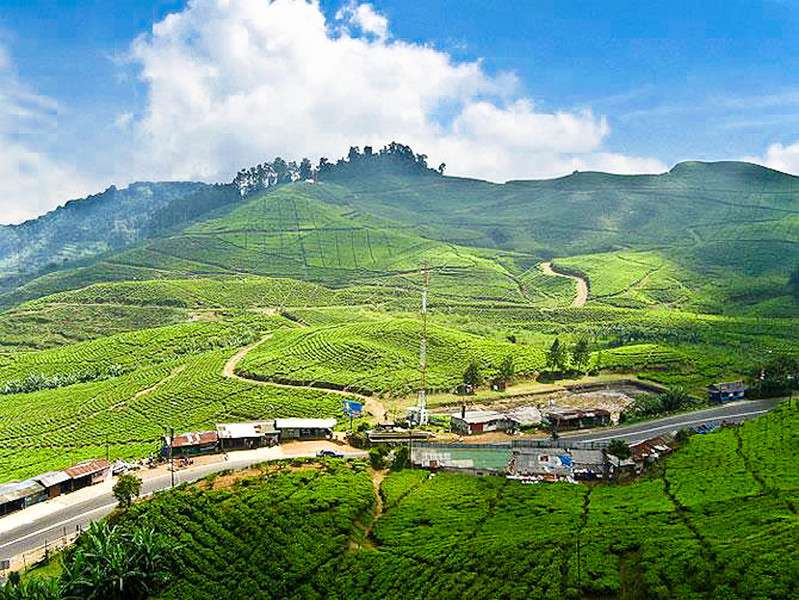 8 Memorable Places to Visit in Puncak on Your Honeymoon