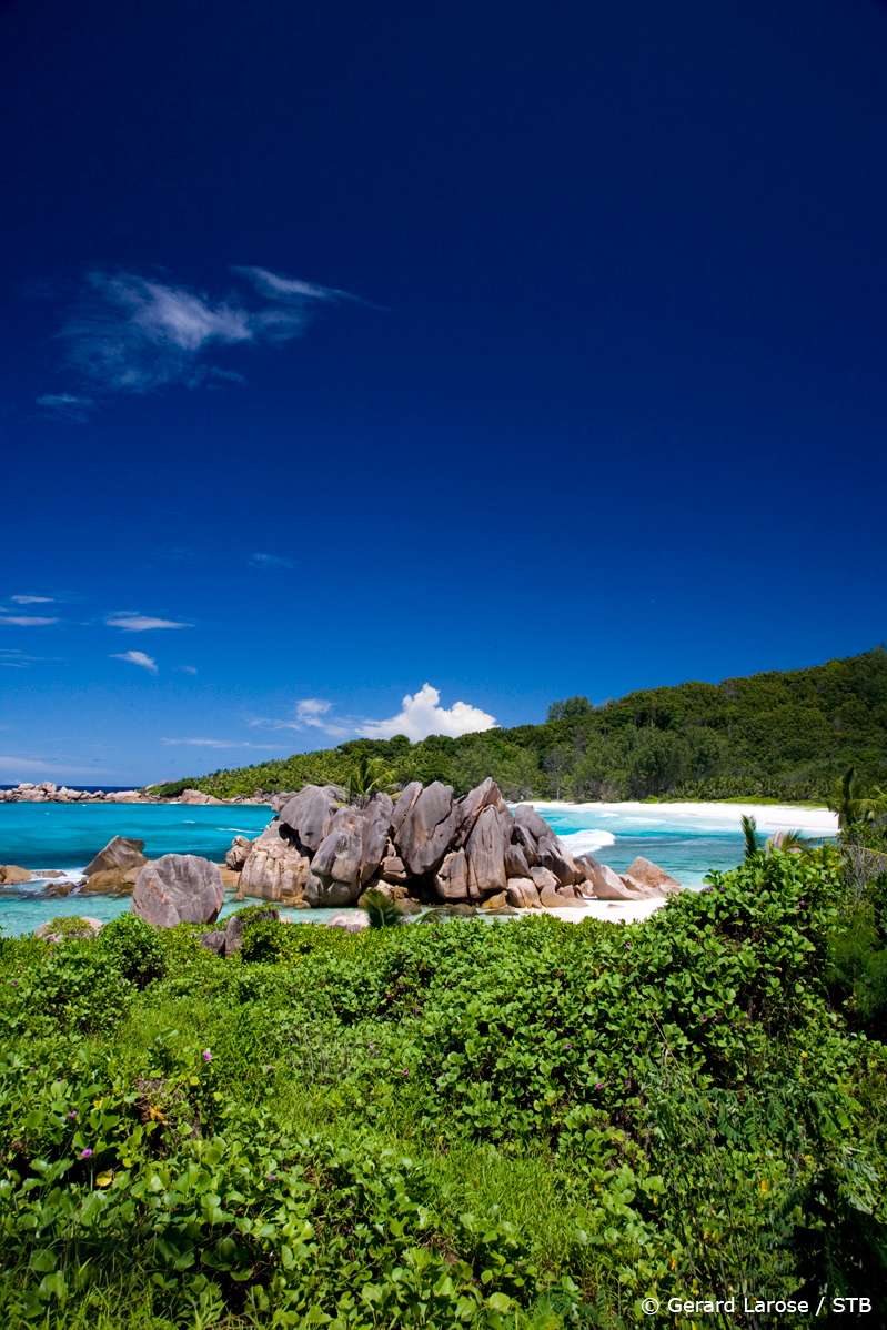 Discover The Seychelles On Your Honeymoon