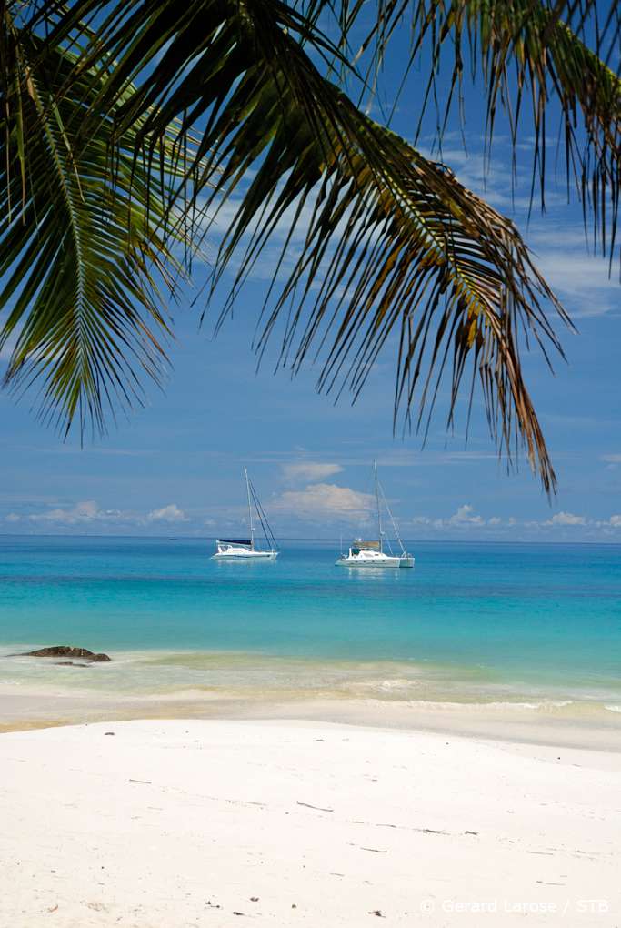 Discover The Seychelles On Your Honeymoon