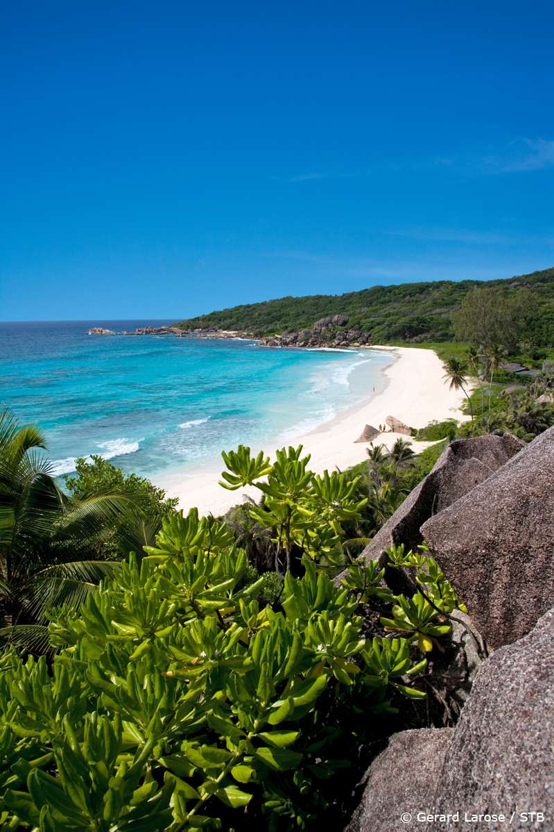 Discover The Seychelles On Your Honeymoon