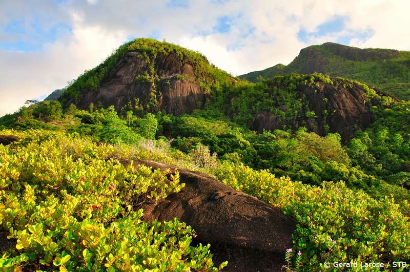 Discover The Seychelles On Your Honeymoon