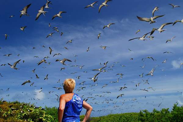 Discover The Seychelles On Your Honeymoon