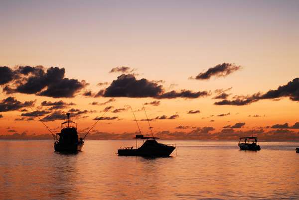 Discover The Seychelles On Your Honeymoon