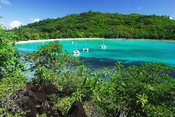 Discover The Seychelles On Your Honeymoon