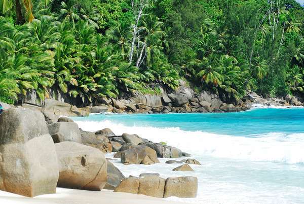 Discover The Seychelles On Your Honeymoon