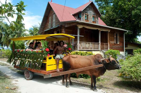 Discover The Seychelles On Your Honeymoon