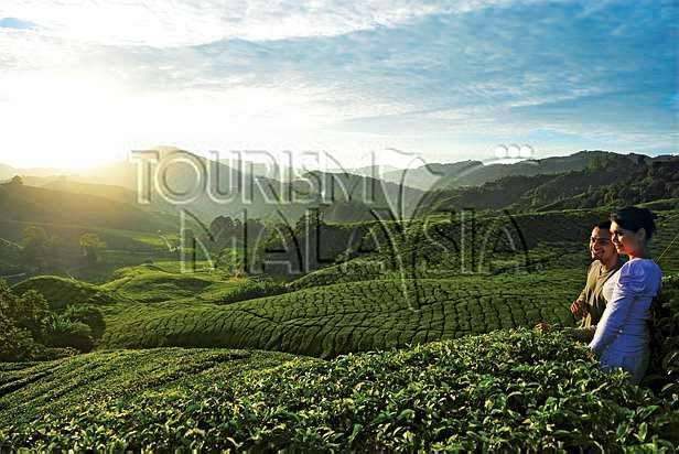 Your Honeymoon Destination: Malaysia