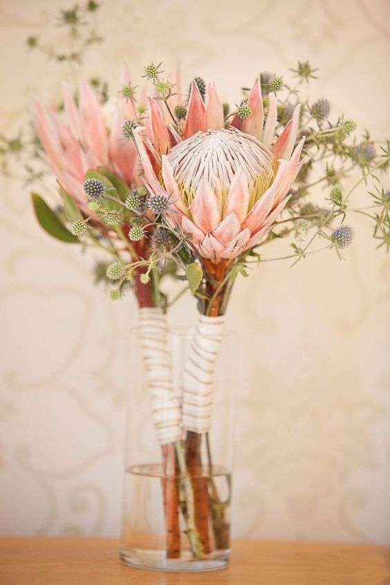 A Dramatic Wedding Flower: The Protea