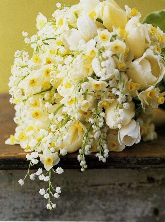 Your Spring Wedding Flower: The Narcissi