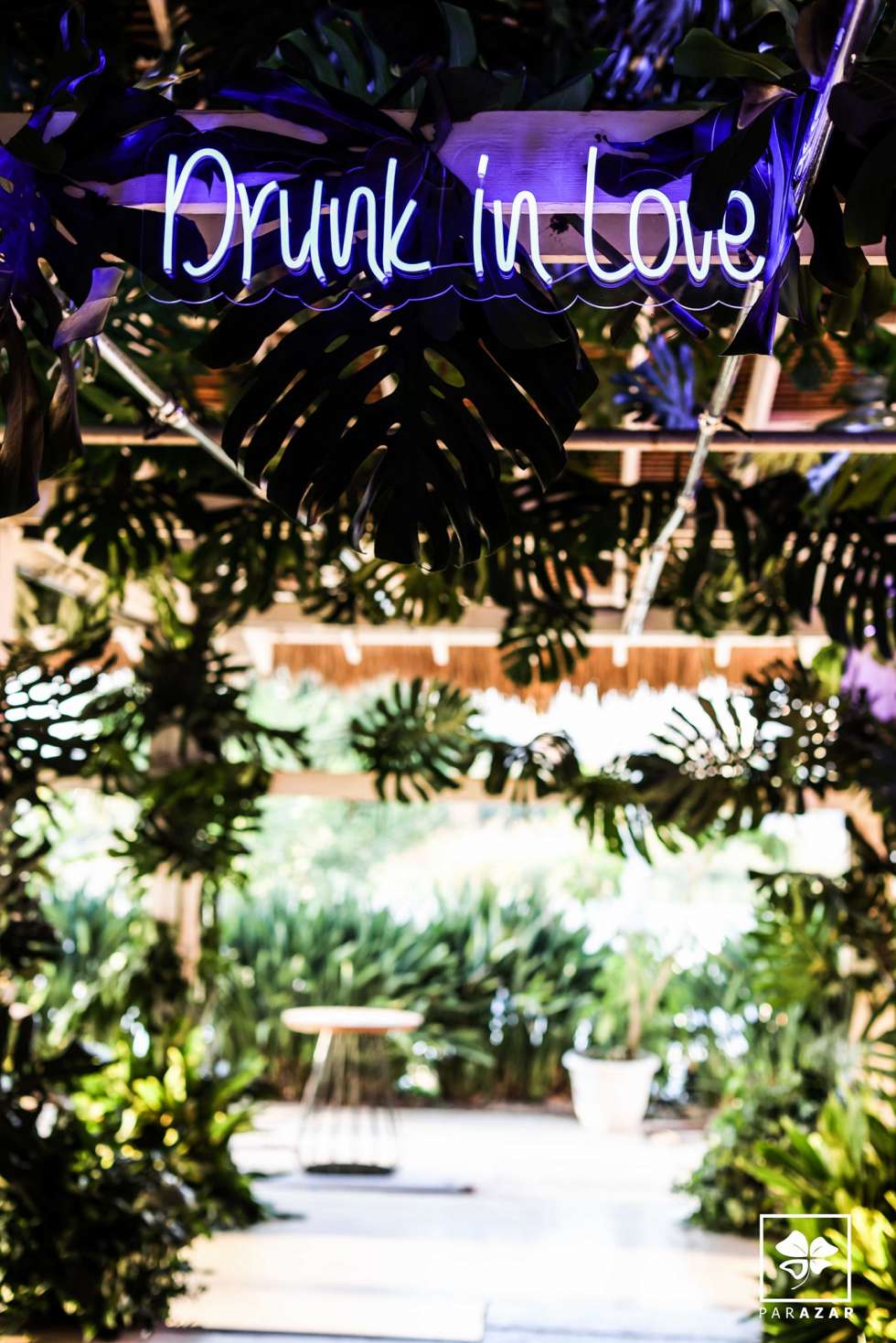 One Night in Havana Wedding One Night in Havana Wedding