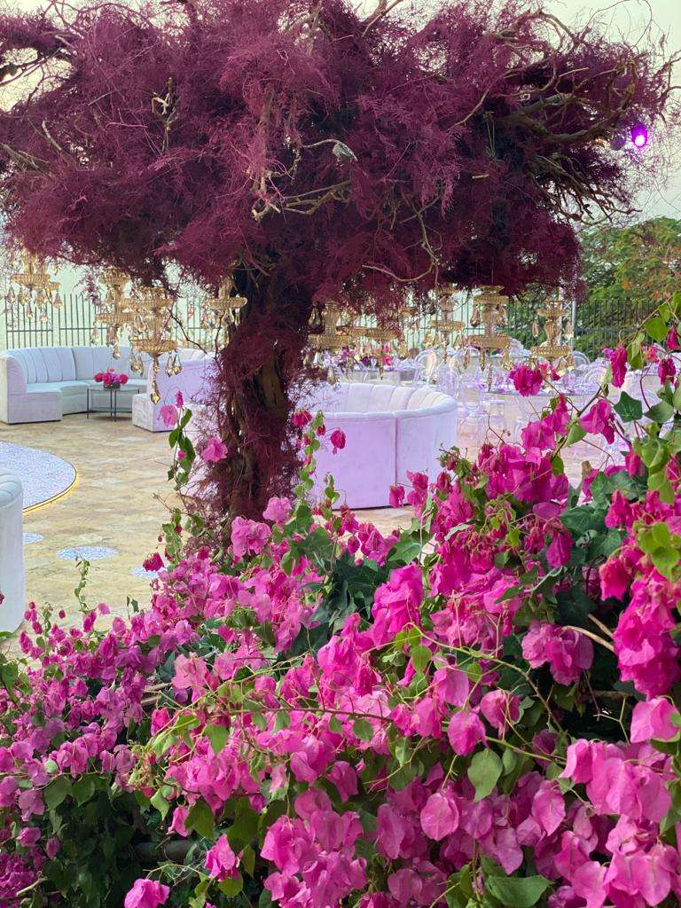 حفل زفاف وردي على شاطئ البحر في البحر الميت 