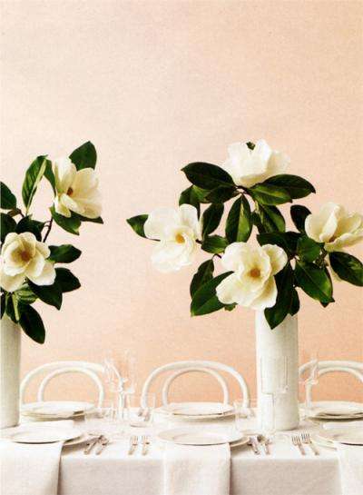 أفكار جديدة لحفل زفاف بأزهار المانوليا
