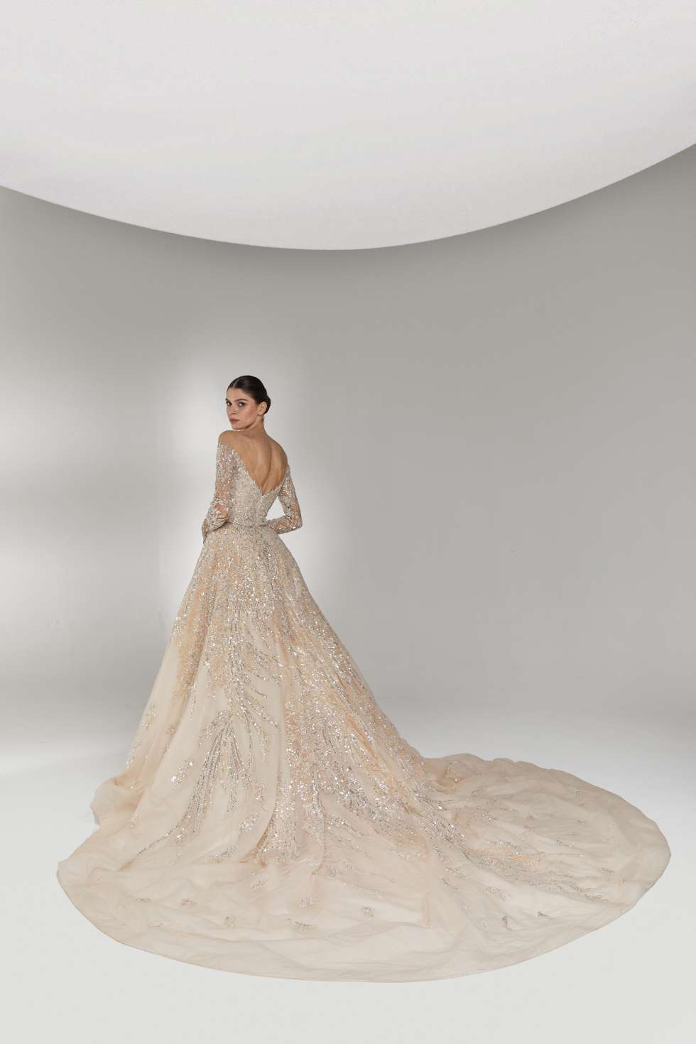 Twinkling Dots Wedding Dresses by Tony Ward for Spring 2023