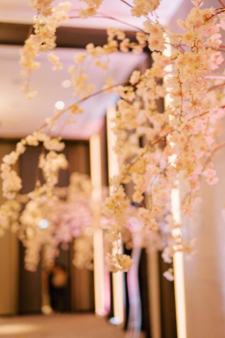 A Magical Destination Wedding in Cyprus A Magical Destination Wedding in Cyprus