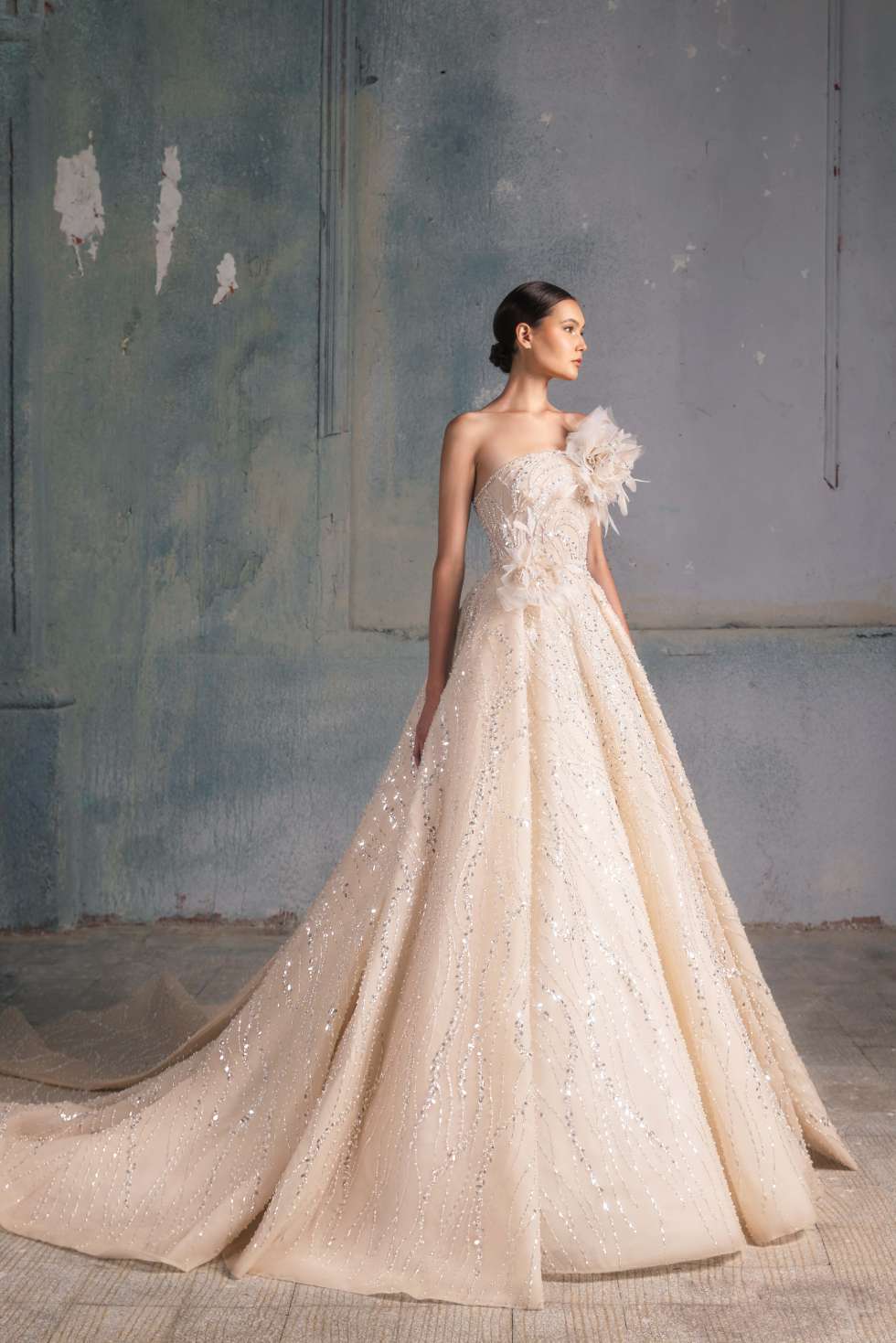 La Dolce Vita 2023 Fall Wedding Dress Collection by Tony Ward