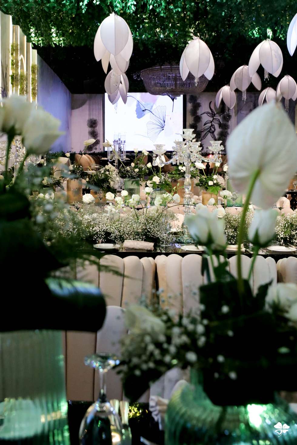 A Naturesque Wedding in Cairo