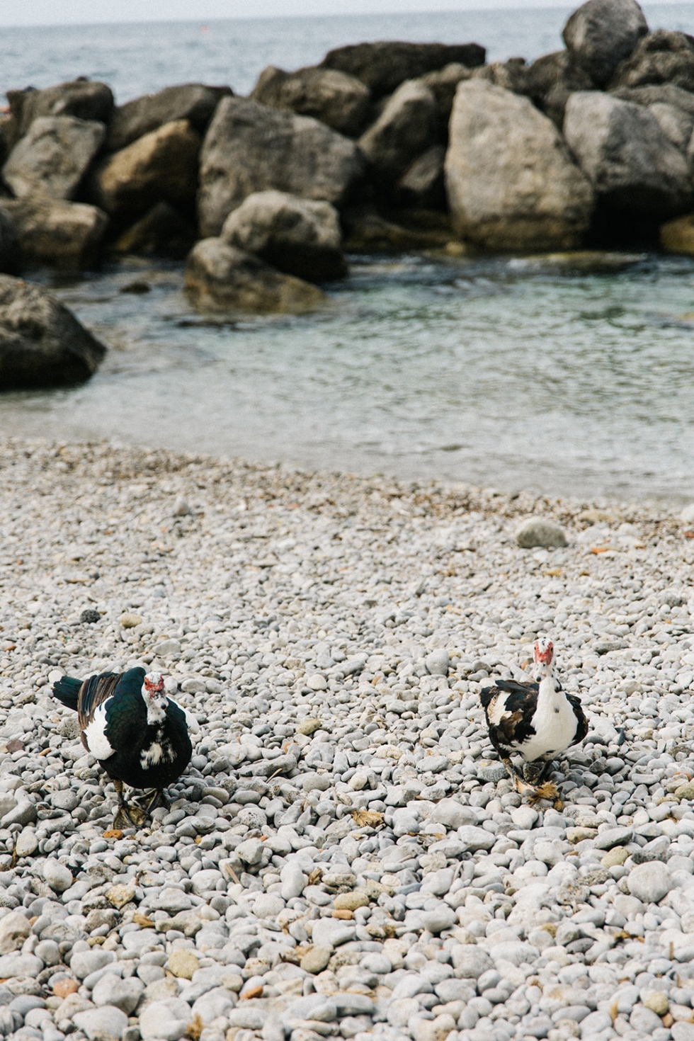 A Magical 4 Day Destination Wedding on the Amalfi Coast