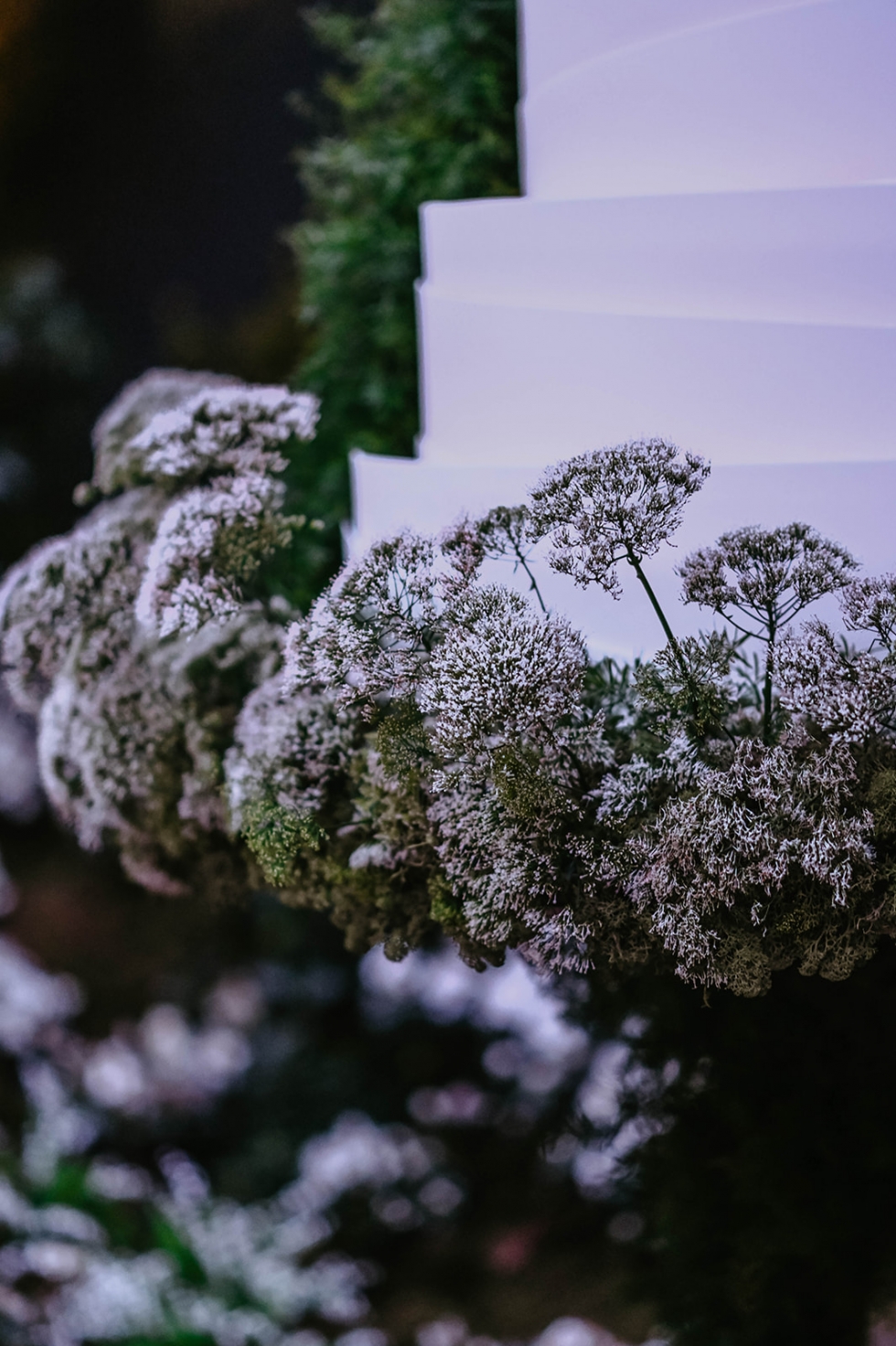 A Mystical Forest Saudi Wedding in Zurish