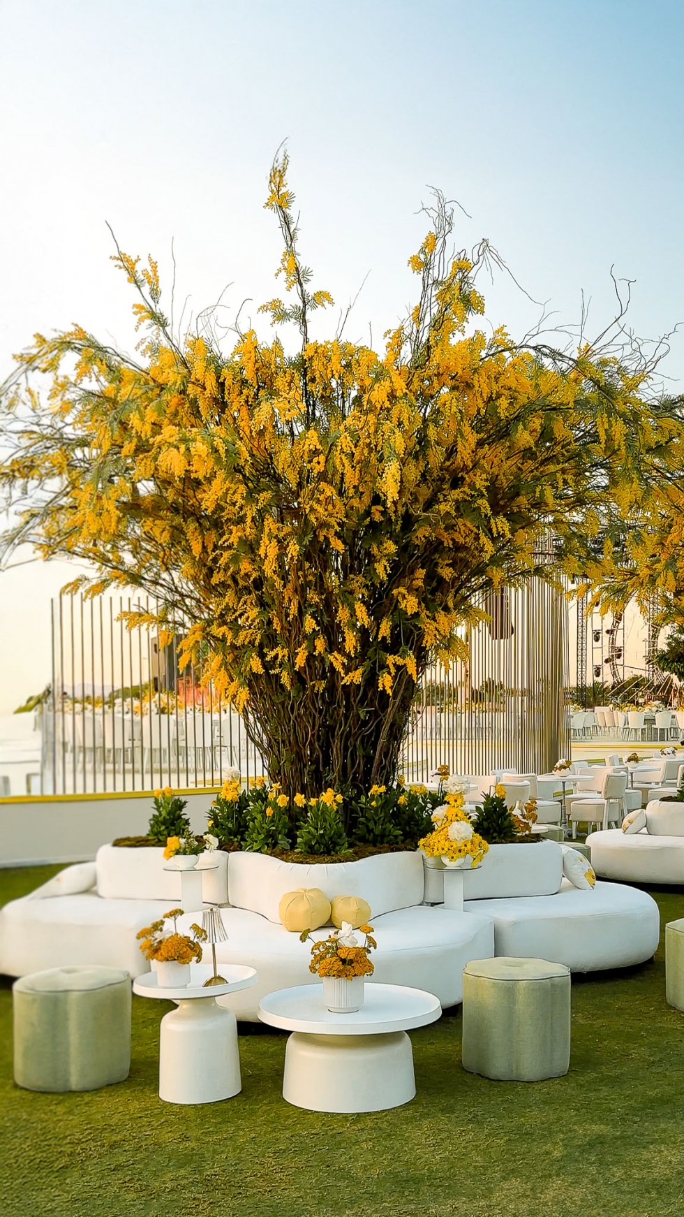 حفل زفاف مشرق باللون الأصفر في العقبة 