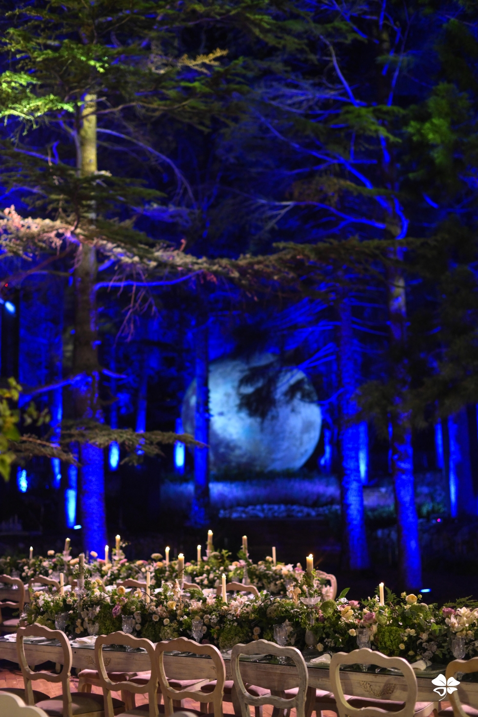 A Lebanese Fairytale in the Cedars