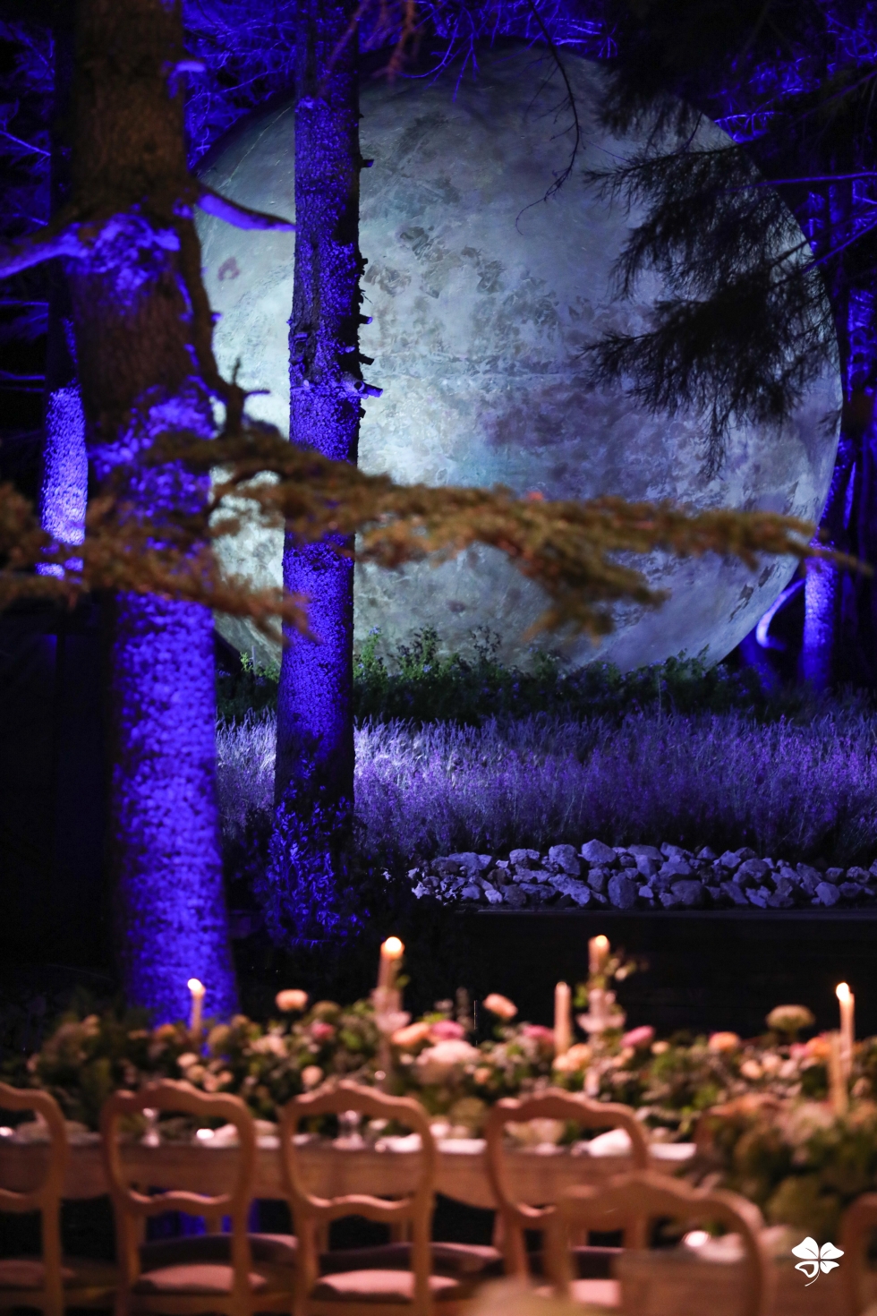 A Lebanese Fairytale in the Cedars