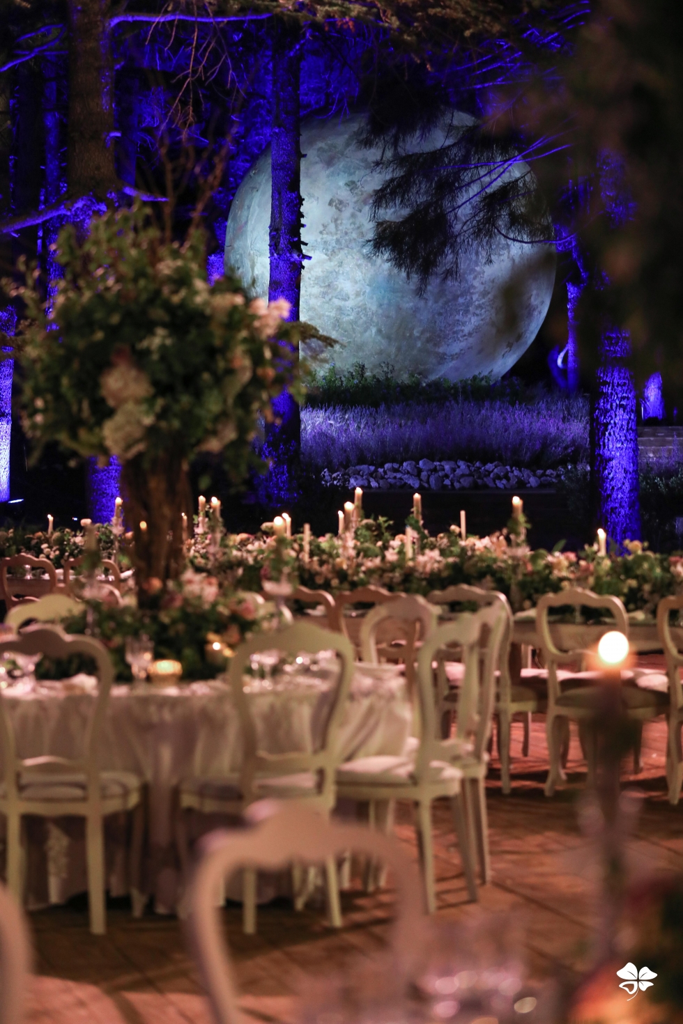 A Lebanese Fairytale in the Cedars