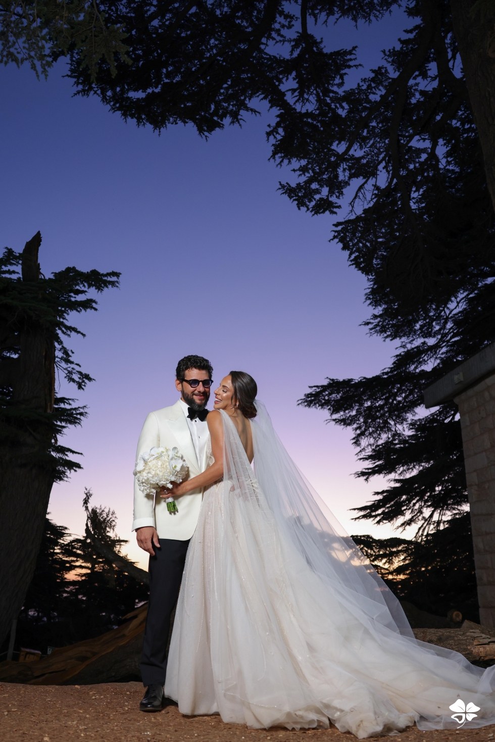 A Lebanese Fairytale in the Cedars